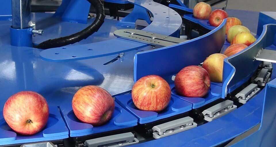 agico apple sorting machine