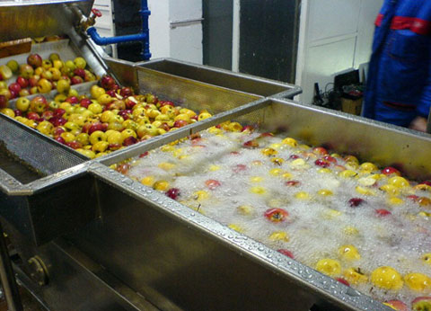 Fruit bubble washing machine used for washing fruits