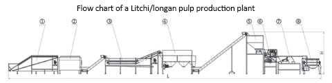 litchi and longan pulp production plant